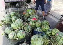 徽县网红吃瓜事件,揭秘网络舆论的风暴与真相