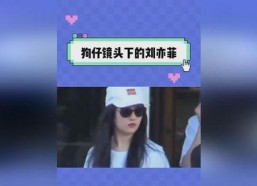 娱乐吃瓜记事本,吃瓜群众视角下的明星八卦