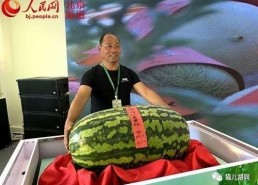 5吃瓜群众网,网络舆论场的新势力崛起