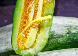 网红吃瓜网官网,揭秘娱乐圈幕后故事，带你领略网络红人生态