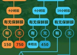 5.1吃瓜网安全吗,揭秘网络世界的安全防线