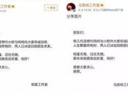 娱乐圈吃瓜爆料张翰,揭秘背后的真相与争议