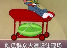 吃瓜网跷跷板,揭秘网络舆论风向标