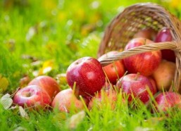 5.1吃瓜网官网苹果版,轻松畅享最新娱乐资讯，尽在掌握