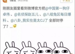 吃瓜事件汇总,揭秘娱乐圈幕后风云